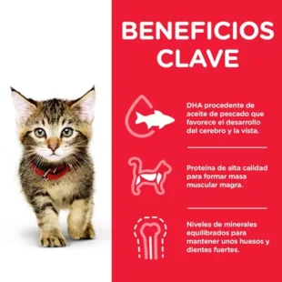 Beneficios HILL'S SCIENCE PLAN Alimento para Gatitos - Bolsita