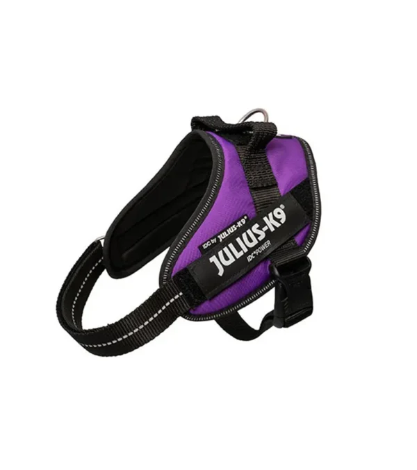 Julius K9 IDC Powerharness Purpura oscuro