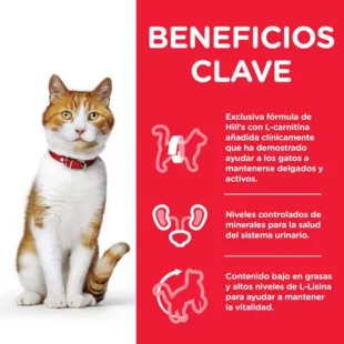 HILL'S SCIENCE PLAN Sterilised Cat Alimento para Gatos Jóvenes con Salmón - Bolsita