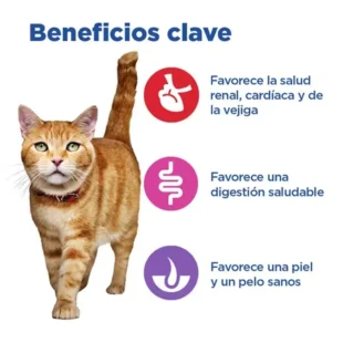 Hill's VET ESSENTIALS MULTI-BENEFIT NO GRAIN alimento seco para gatos adultos