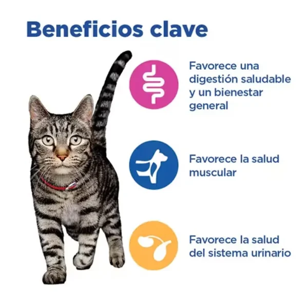 Hill's VET ESSENTIALS MULTI-BENEFIT alimento seco para gatos adultos