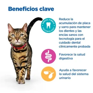 MULTI-BENEFIT + DENTAL alimento seco para gatos adultos 1+