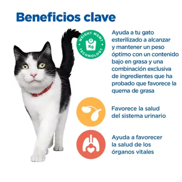 MULTI-BENEFIT + WEIGHT alimento seco para gatos mayores 7+