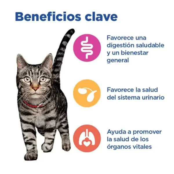 MULTI-BENEFIT alimento húmedo para gatos mayores