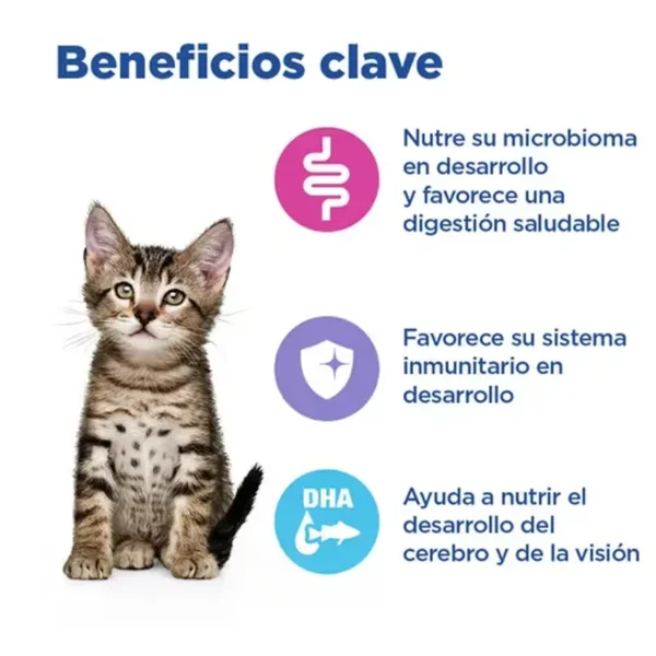 MULTI-BENEFIT alimento seco para gatitos