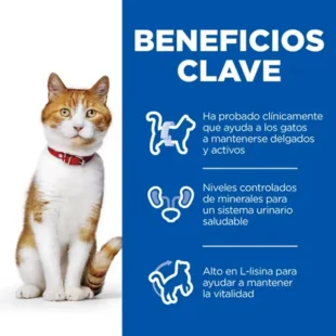 Sterilised Cat alimento para gatos adultos