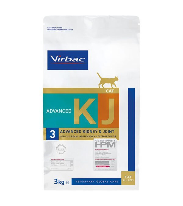 KJ3-CAT ADVANCED KIDNEY&JOINT