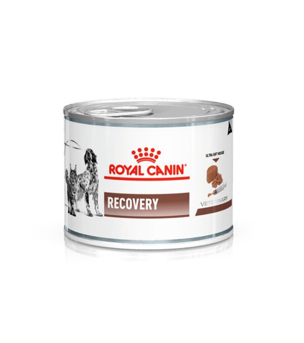 Royal Canin - Recovery Cat/Dog Lata 195G X 12Ud