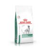 Royal Canin - Diabetic Dog