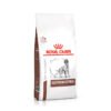 Royal Canin - Gastrointestinal Dog