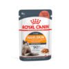 Royal Canin - Hair Skin Gravy Pouch 85Gr X 12Ud