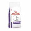 Royal Canin - Neutered Junior Medium Dog 10Kg