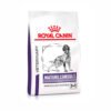 Royal Canin - Senior Cons. Mature Medium Dog 10Kg