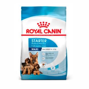 Royal Canin - Maxi Starter Mother Baby