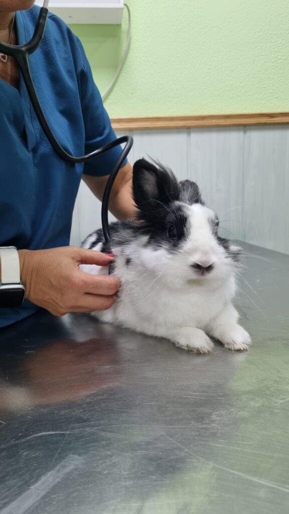 WhatsApp Image 2026-04-09 at 19.13.45 (5)